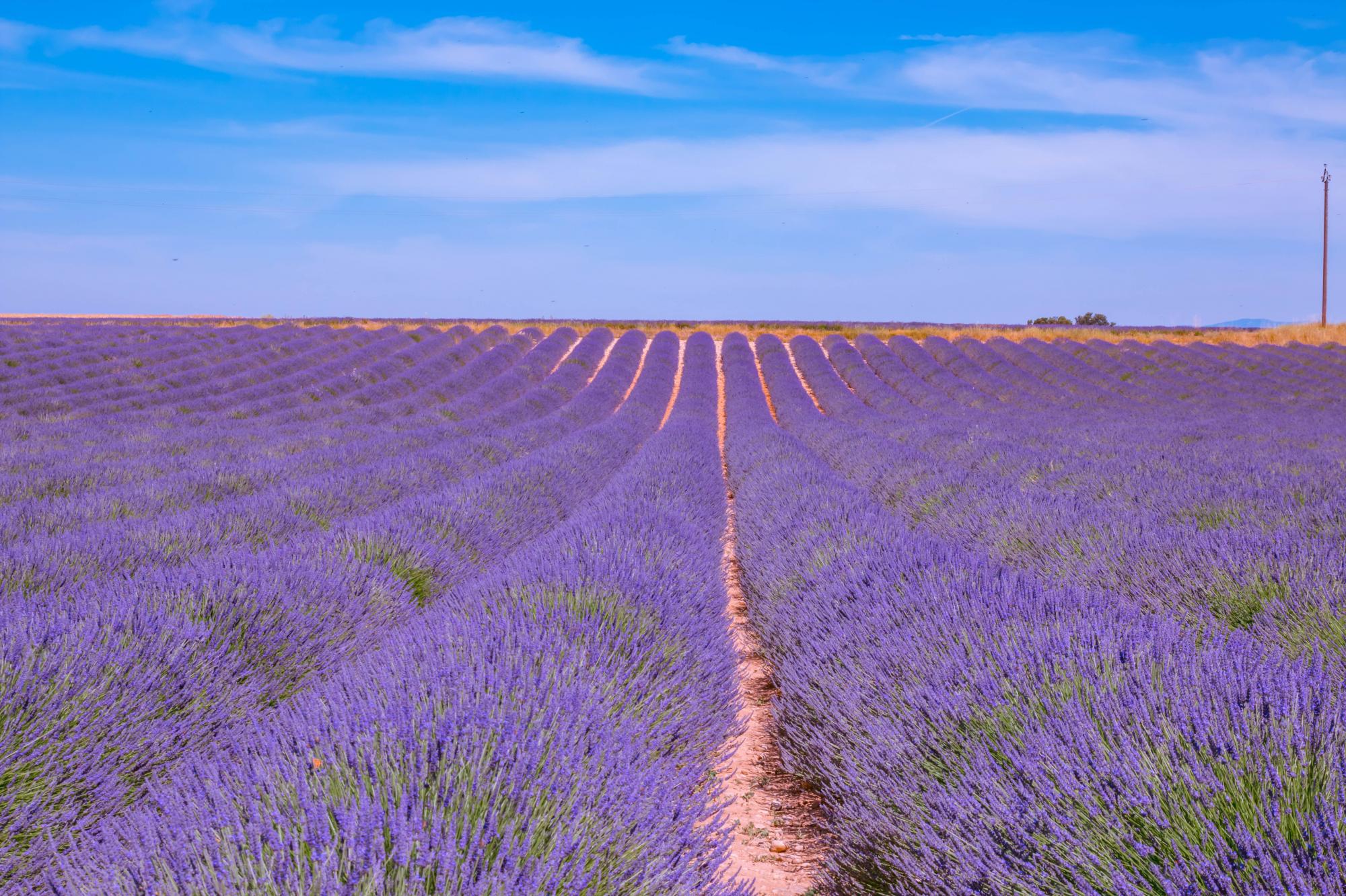 Het hart van de Provence