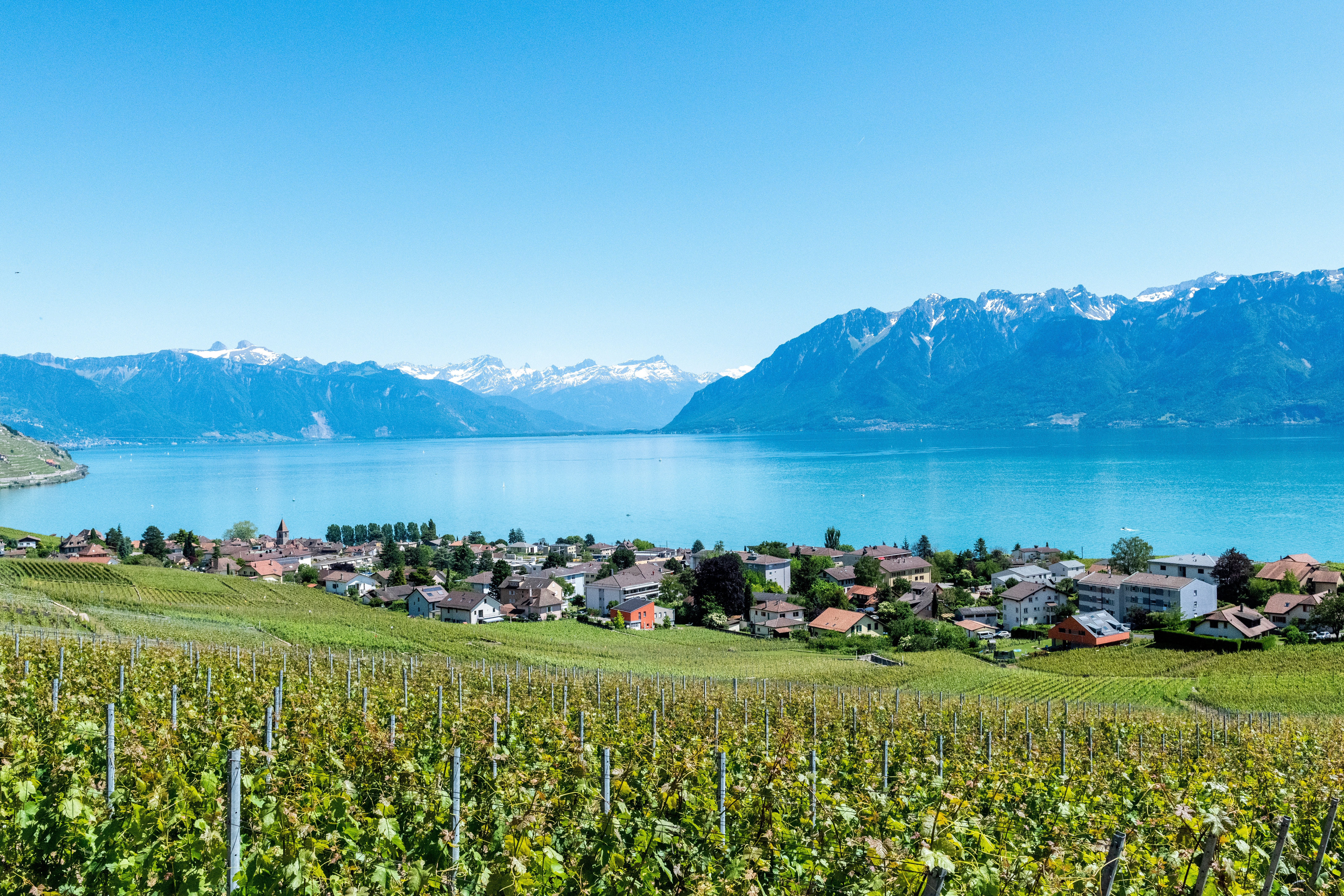 wijnvelden lavaux zwitserland