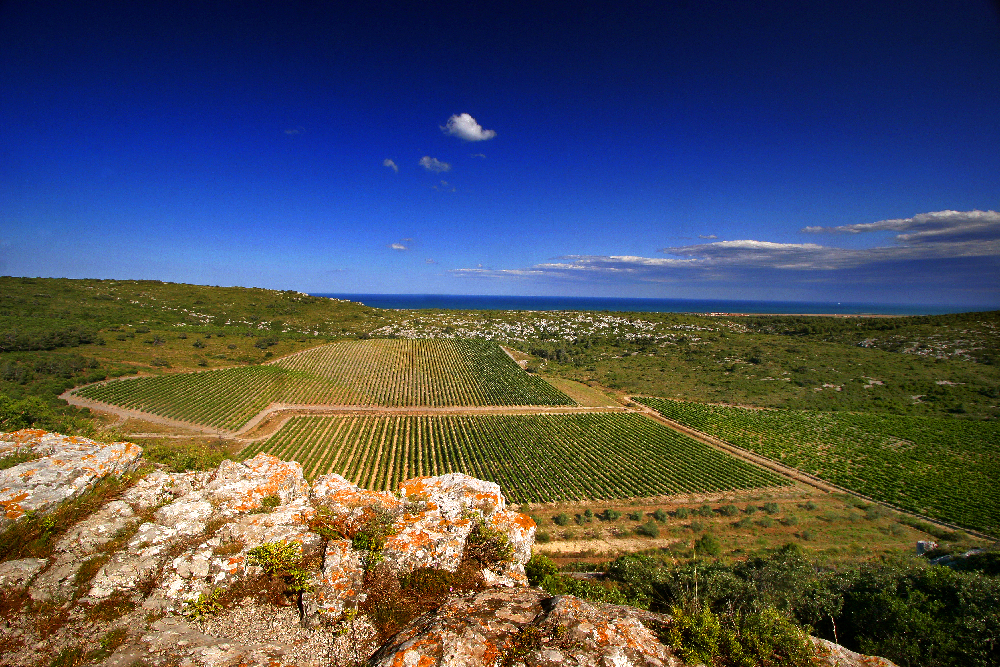 Wijnreis door Occitanië en Catalonië 