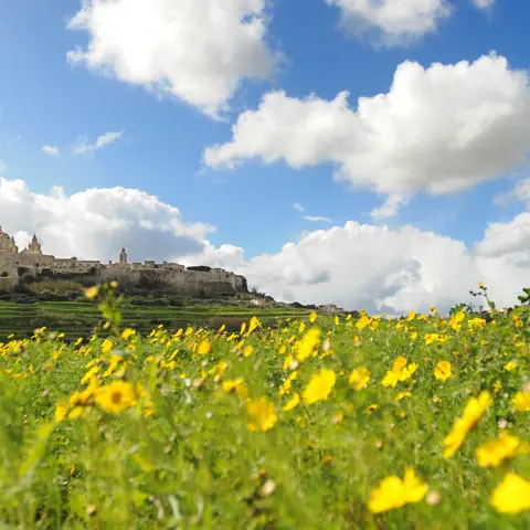 Verken het groene Malta