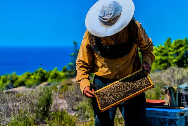 section top 5 belevingen voor een paradijselijk verblijf in chalkidiki 4