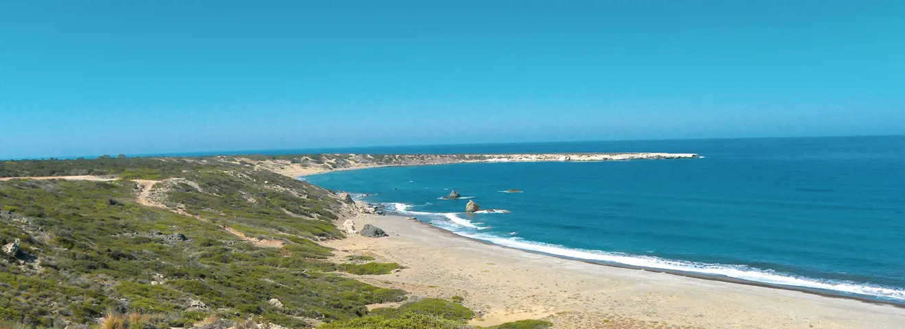 lara beach cyprus